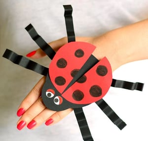 Ladybug